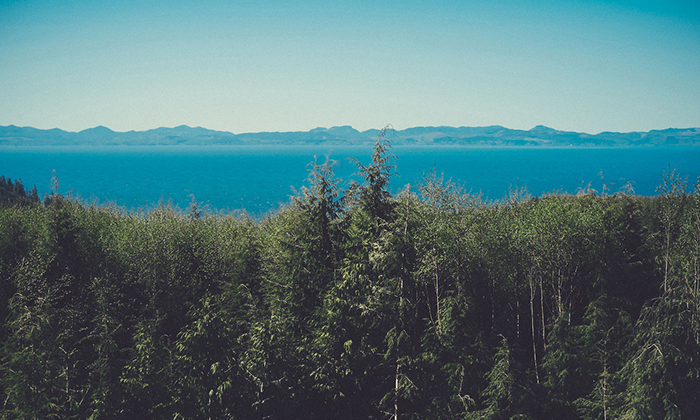 折扣力度的短信测压源码