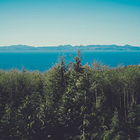 短信在线云呼轰炸