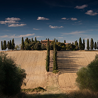 手机号测压网站
